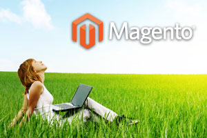 Starten Sie Ihren eigenen Online Shop mit Magento