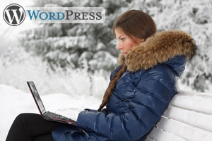 Ihr WordPress Blog, nachhaltig Suchmaschinen-optimiert
