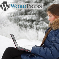 WordPress