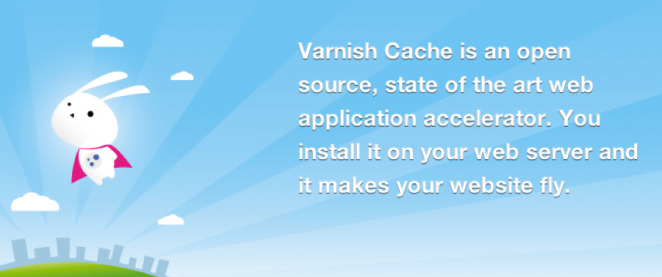 Magento PageCache powered by Varnish