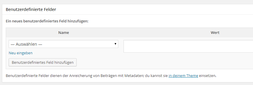 Custom Fields bei WordPress Posts