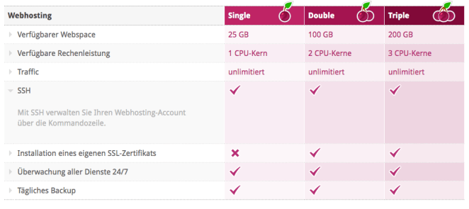 WordPress Webhosting mit SSH