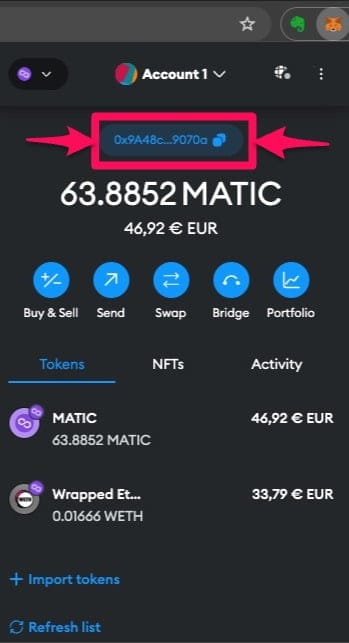 Metamask Public Wallet Address