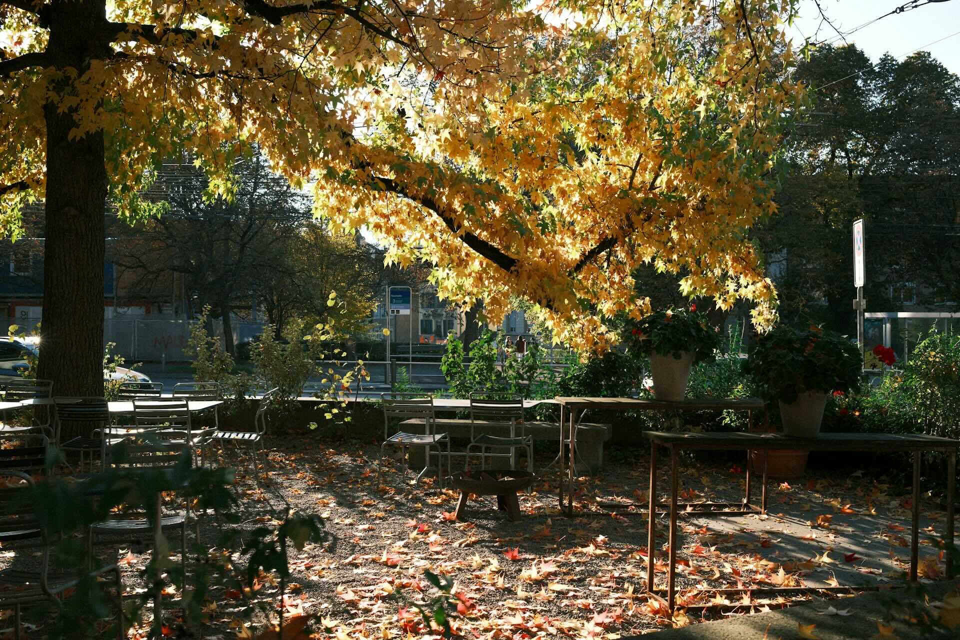 Herbst Zuerich