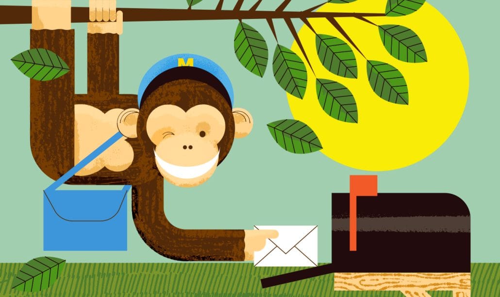 MailChimp Newsletter